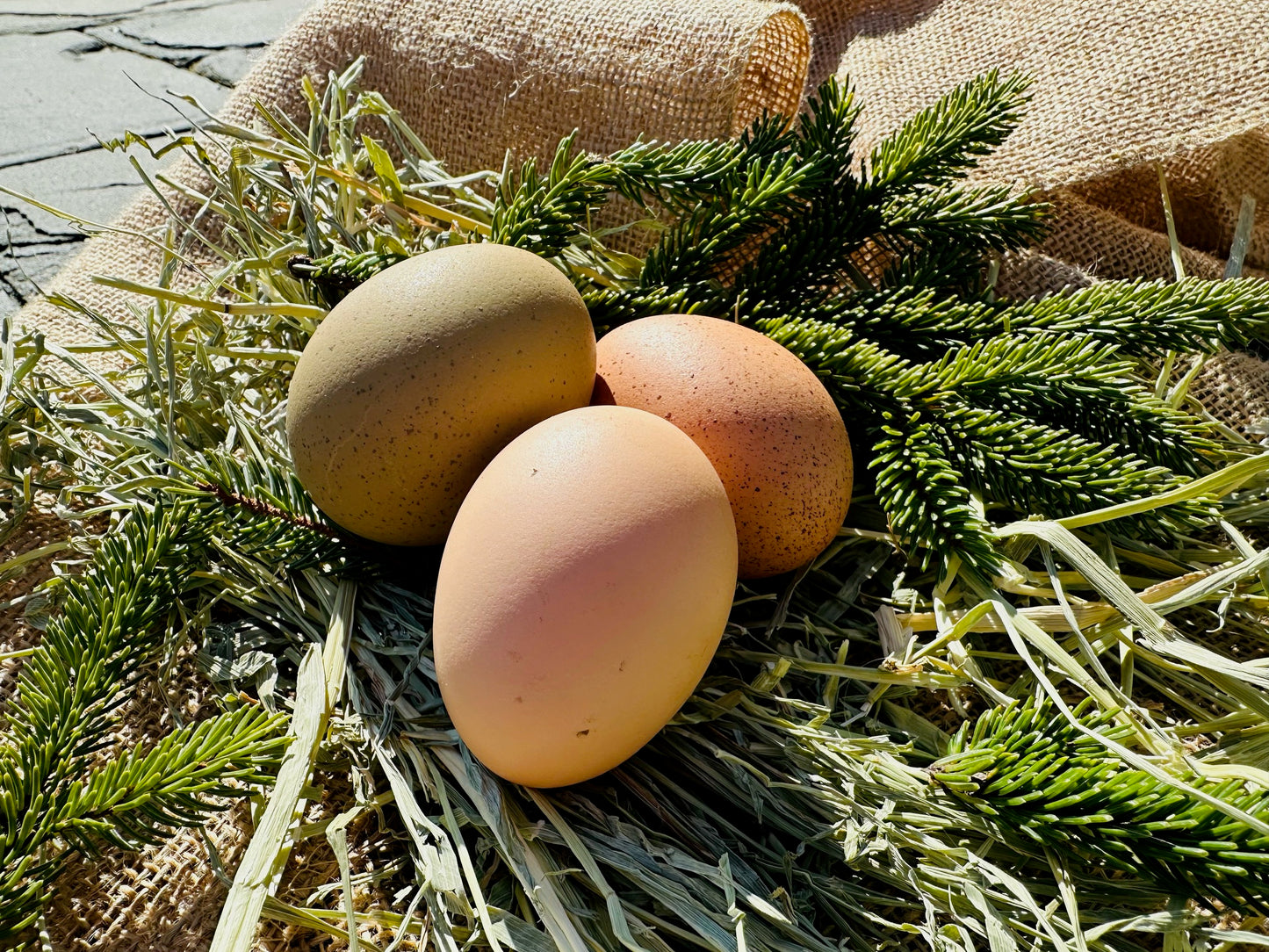 Low-PUFA Farm Fresh Eggs